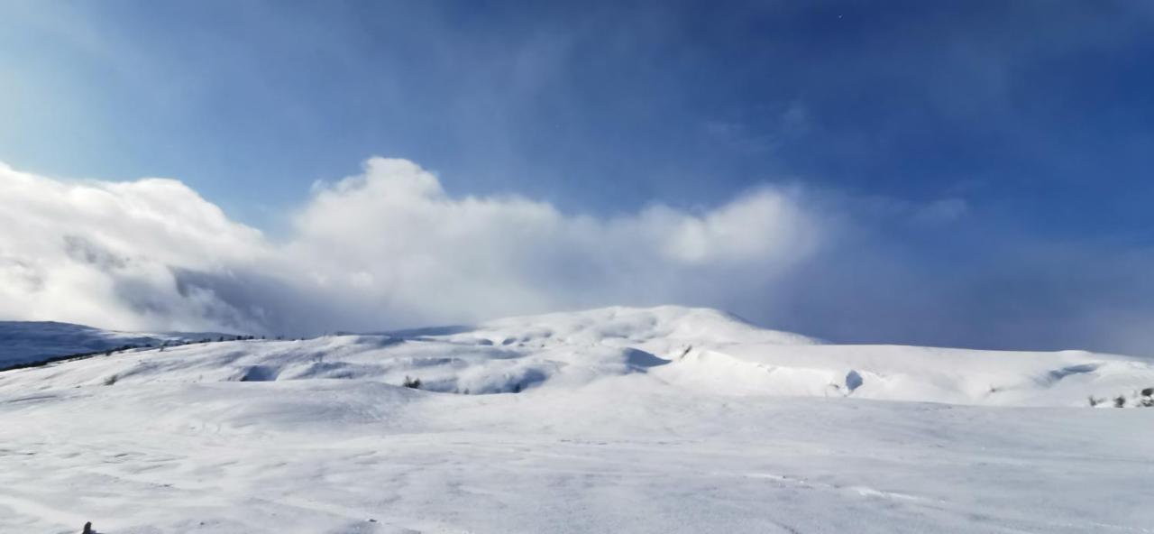 Mlodge - The Mountain Lodge Sogndal Exterior foto